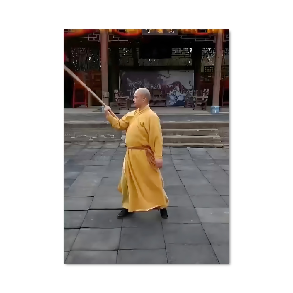 Poster Le Sage de Shaolin – affiche Kung Fu